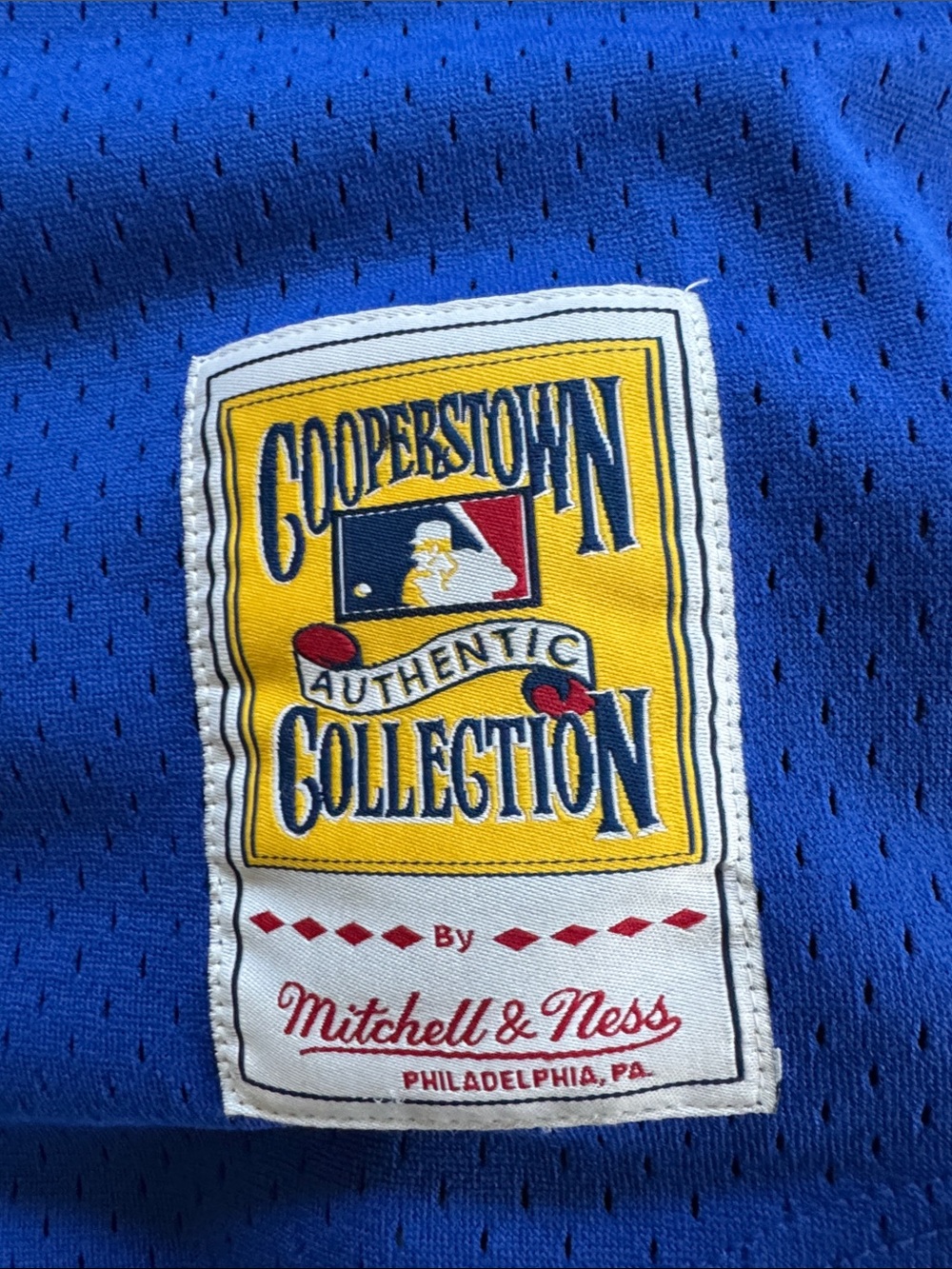 Mitchell & Ness Blue Dodgers Mike Piazza Jersey 31 - Picture 2 of 7